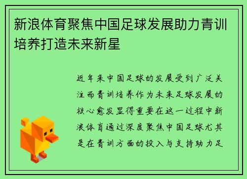 新浪体育聚焦中国足球发展助力青训培养打造未来新星